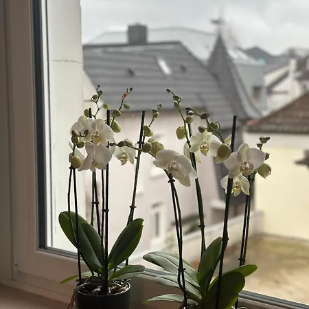 Gemuetlich Im Zentrum Von パーダーボルン