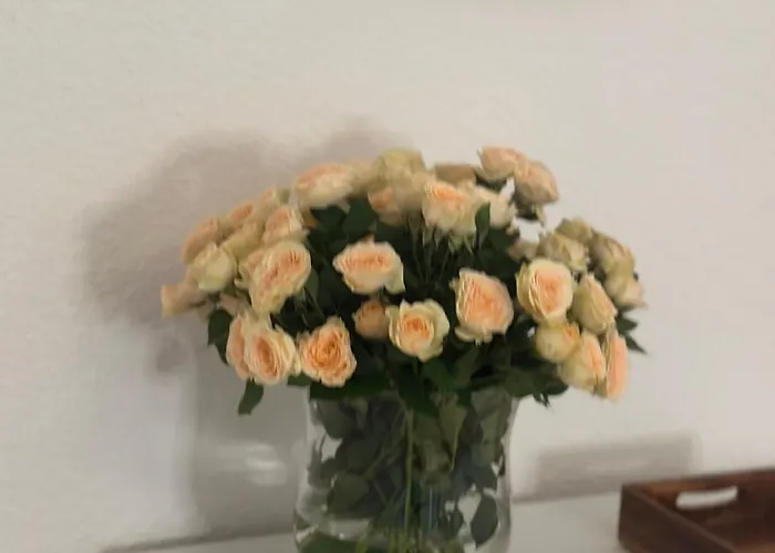 Gemuetlich Im Zentrum Von