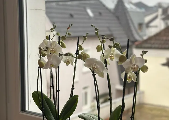 Gemuetlich Im Zentrum Von Paderborn